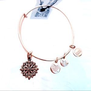 Alex and Ani Compass